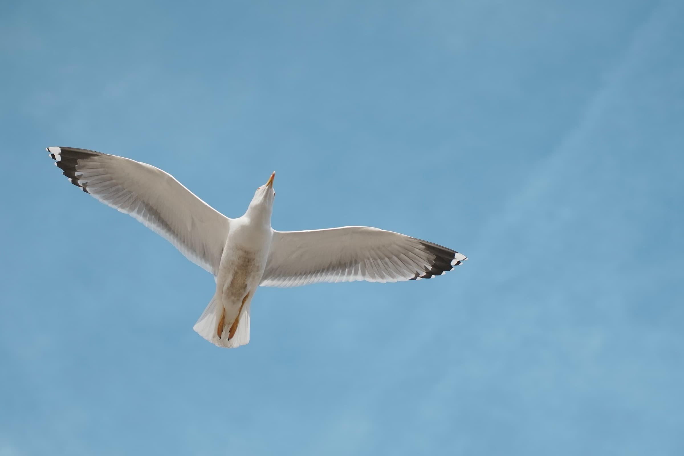 Sony α7 IV — 2025-11-21
