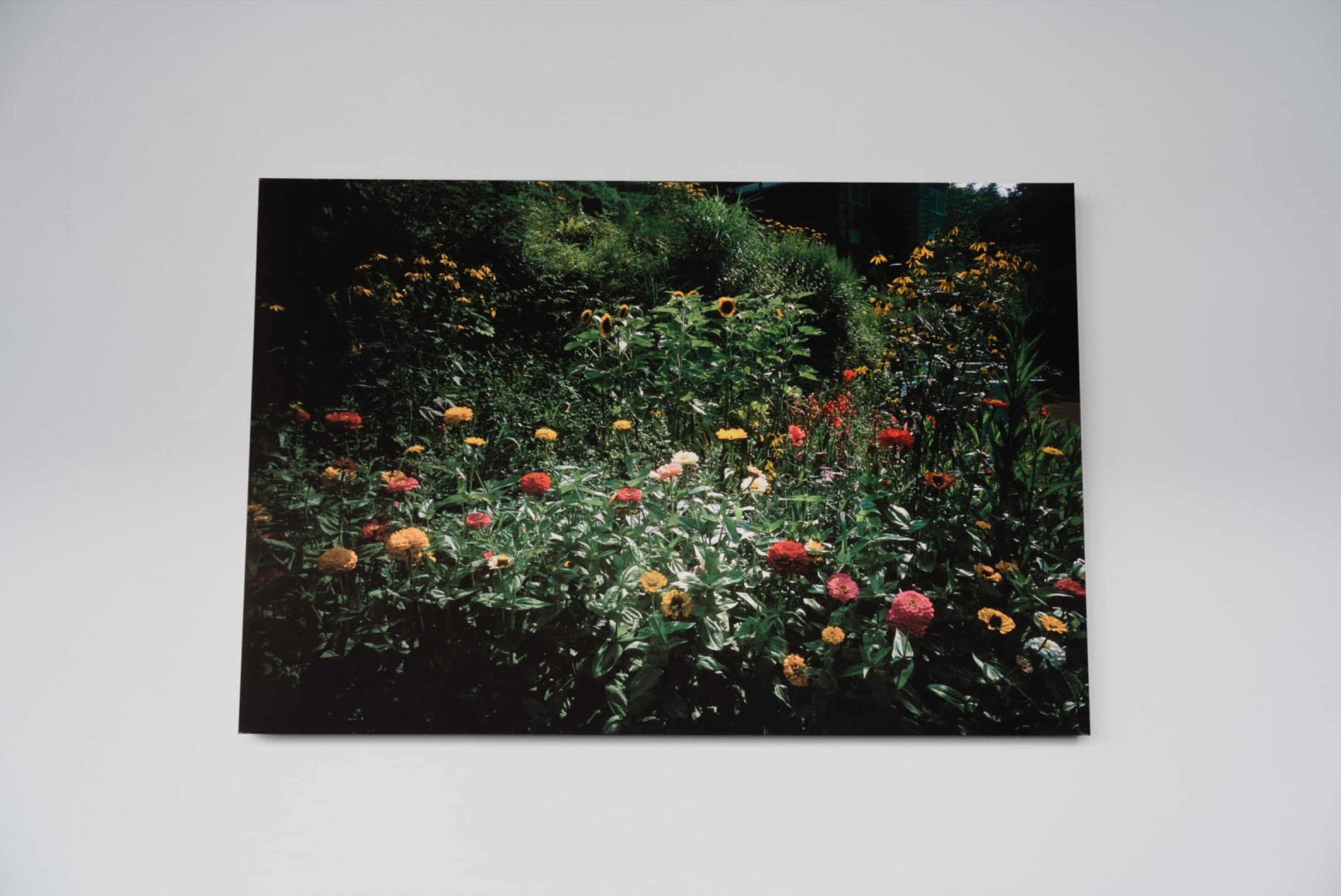 Sony α7 IV — 2026-05-04